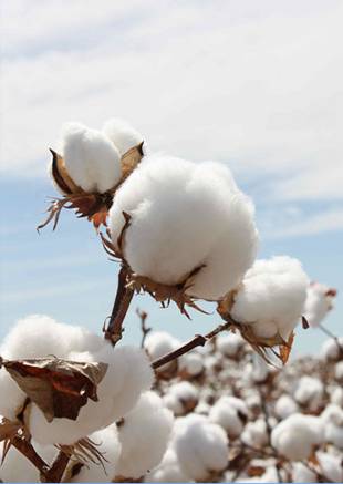 �W�ɼҼ������������ۼ���һ�ӵğ��