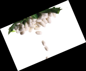 �Q�z���q�r(ji��)������]�ך���