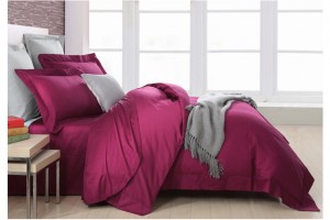 �Ҽ�ץס���^����׌��͎���