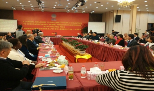 APEC������20���������⽻���R�L�_(d��)���z�I