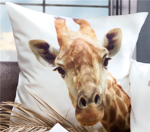 ���r�мҼ�Ʒ��ʥ�Q��(ji��)Ԫ�ؿ��|�������C����