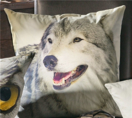 ���r�мҼ�Ʒ��ʥ�Q��(ji��)Ԫ�ؿ��|�������C����