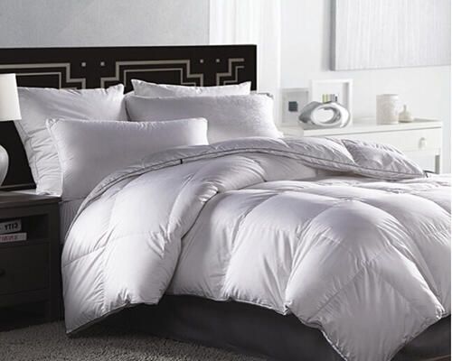 ���x�Ҽ�ů���ڡ�о��