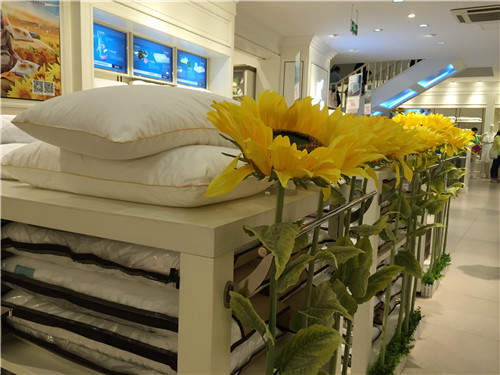 �Pʢ�Ҽ�2015���ﶬ��Ʒ�l(f��)����(hu��)�����_