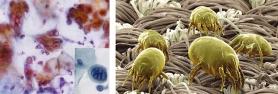 ���_�m�Ҽ�������˯��������˯��������