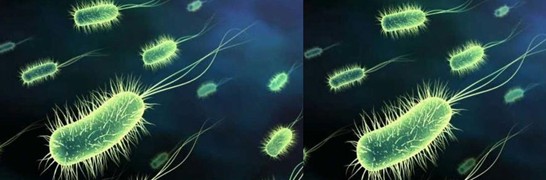 ���_�m�Ҽ�������˯��������˯��������