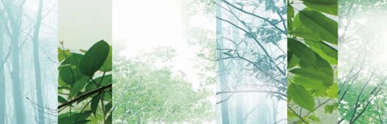 ���_�m���C(j��)�Ҽ���߀ԭ���Rԭ���B(t��i)ƽ��h(hu��n)��