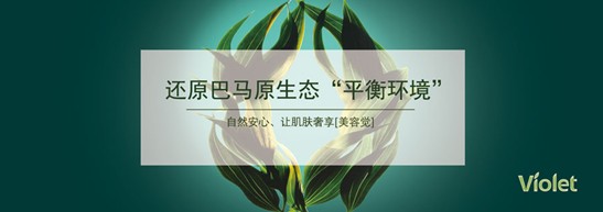 ����˯�ߣ�ه��Violet���C(j��)�Ҽ�