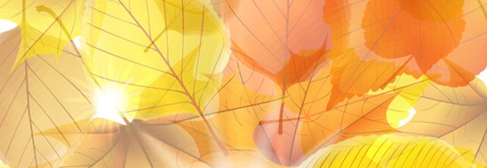 ����˯����ه��Violet���C(j��)�Ҽ�