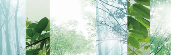 ����˯����ه��Violet���C(j��)�Ҽ�