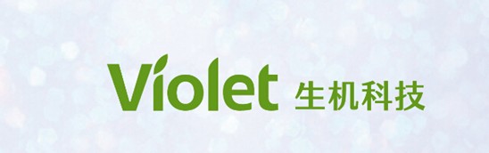 ����˯����ه��Violet���C(j��)�Ҽ�