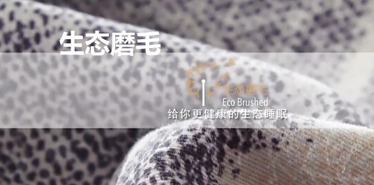 ���_�m���B(t��i)ĥë��Ʒ��׌˯�߻ؚw�������|(zh��)