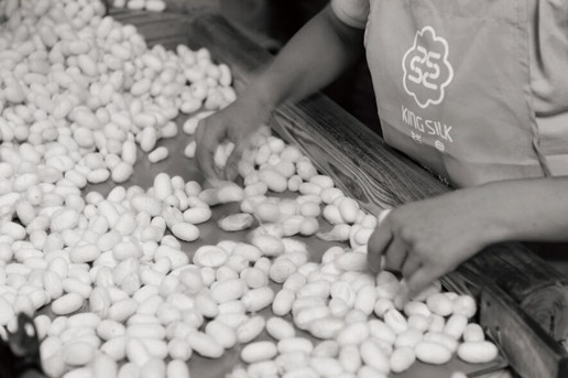 �vʹ�q�������X���ʐ�����������D(zhu��n)