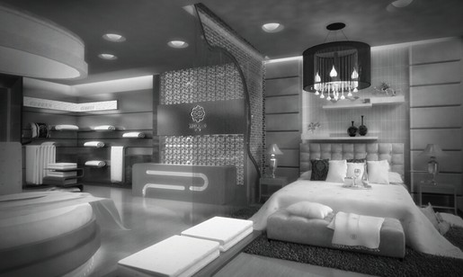 �vʹ�q�������X���ʐ�����������D(zhu��n)