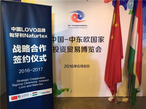 �Ж|�W���[��(hu��)����_(k��i)Ļ�_�RLOVO���Ƞ�����������q��