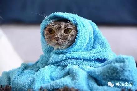 ��ԡ���ë�����Ԍ�����ë��Ҳ�����v����