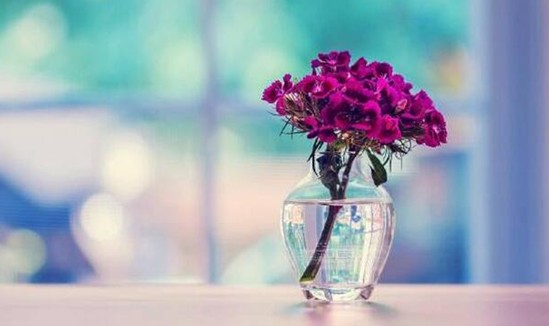 ���_�m�Ҽ���������������z��˲�g�������Ử�ڻ�