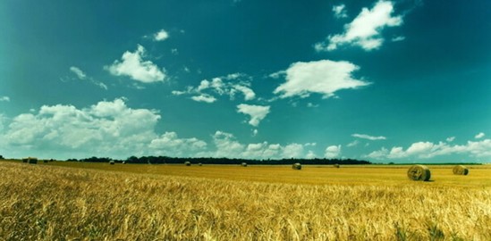 ���_�m�Ҽ���ɭ��������˯�ߡ����C���Сɭ��