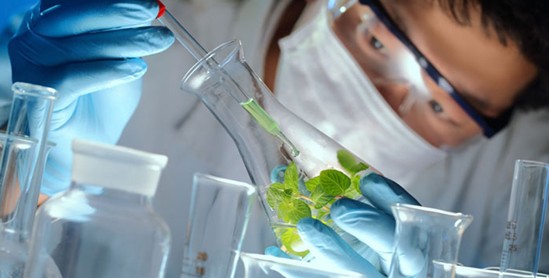 ���_�m�Ҽ���ɭ��������˯�ߡ����C���Сɭ��