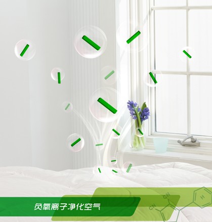 ���_�m�Ҽ���ɭ��������˯�ߡ����C���Сɭ��