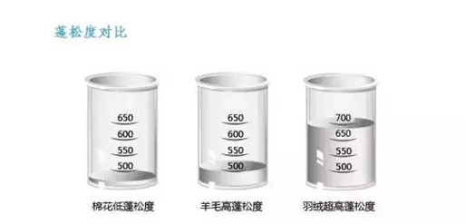 ���t���Ҽ���о��(ji��)�����m��������һ�l��q���_ʼ