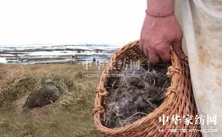 ������27�f�I�²���Ҽ�"����"��"����"��