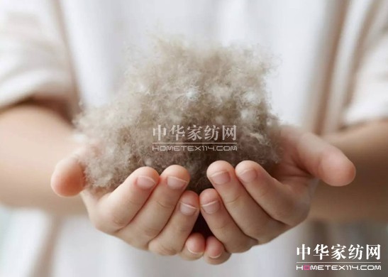 ������27�f�I�²���Ҽ�"����"��"����"��