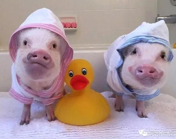 ��ԡ���һ�l��ԡ�����͎��o�㲻�Զ������Ҹ���