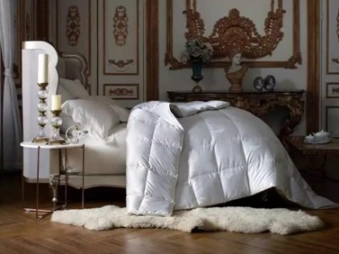 19�f(w��n)8���I(m��i)����Ҽ�����������(d��ng)�ފy��ĺ����Ԇ᣿