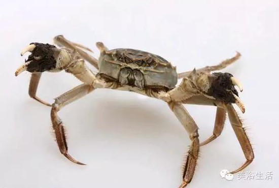 ��ԡ����Â���Ĵ��lз��з�S��ʳ��зȯ���ۣ�з��������ë����