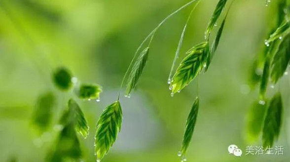 ��ԡ���Փһ�lë�����������B(y��ng)��