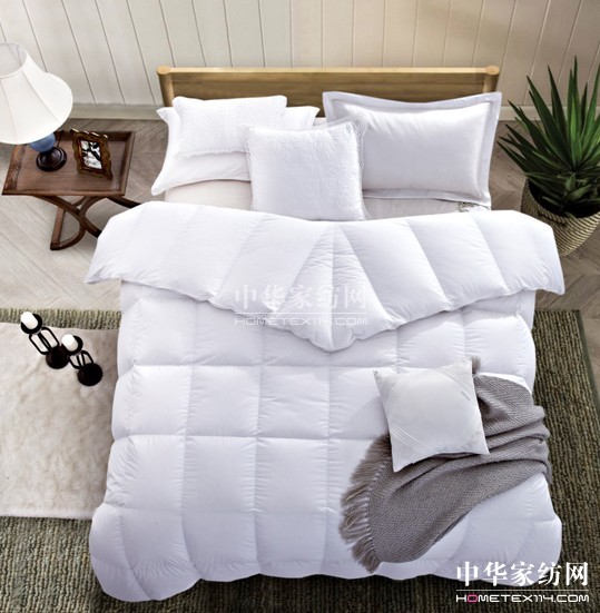 ��I(y��)��չ���c��֪���������p�����M�Ҽ�չ��