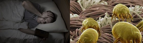 ���z�R�����_�����B(t��i)���ܼҾ�4.0�r��