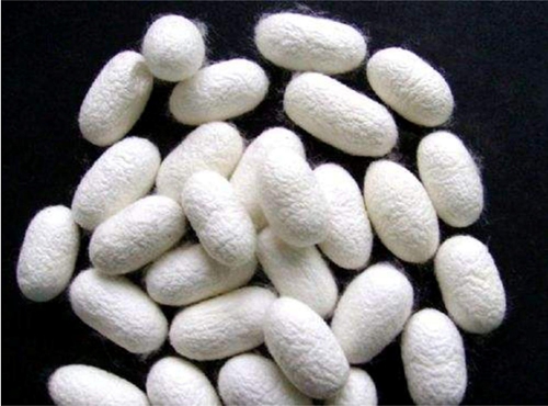 ͬ���ǽz�����W�_���{ʲô���f�������R����