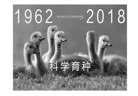 ����Ҽ����m�����q���¾��p��������