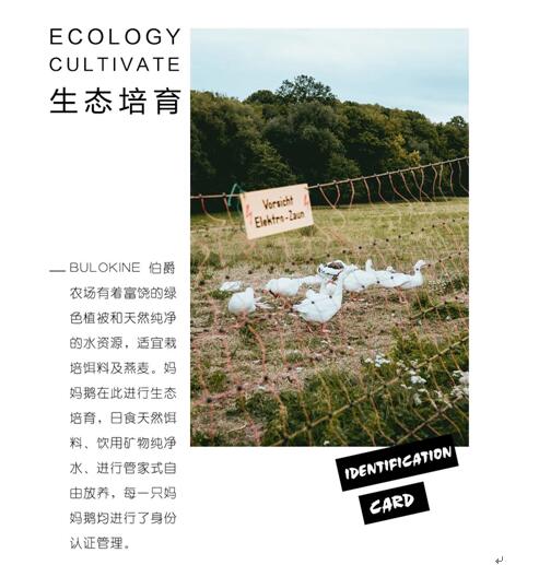 ����Ҽ����m�����q���¾��p�����