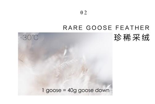 ����Ҽ����m�����q���¾��p��������