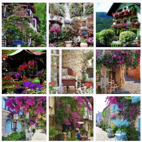 С�[�T��������D(zhu��n)����Ȧ�����cҪ�󲻿�����������ƽ