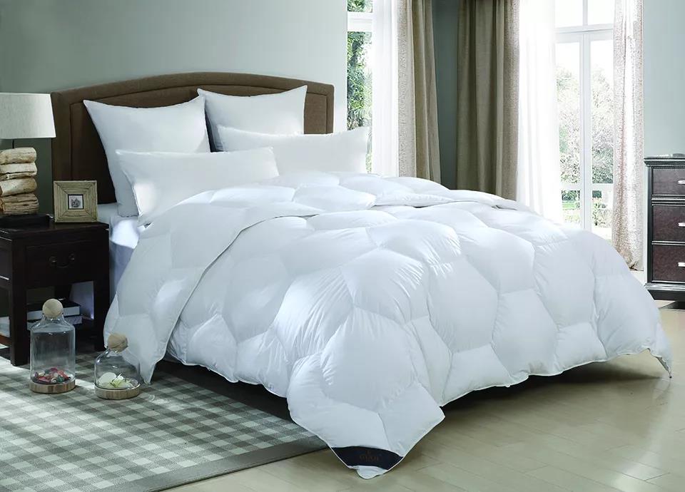 ����Ʒ�Z�q������(bi��o)��(zh��n)���_���쿴�����I�ı����_(d��)��(bi��o)�˛]��