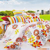 ���Ƽ�(x��)�Z