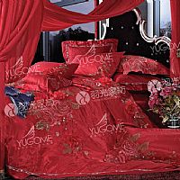 ����һ��