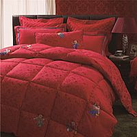 �����F�ӳ���(x��)�w�S��