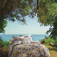 ���(y��ng)���_