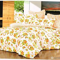 С�~���㣨С����