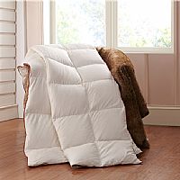 �������Z�q����