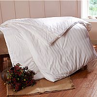 �Sؐ�{�Q�z����