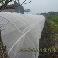 ���x����