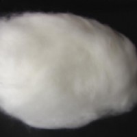 �߼��Ⱦd��q