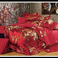 ��ɫ����