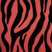 ���yƤ��ֲ�q